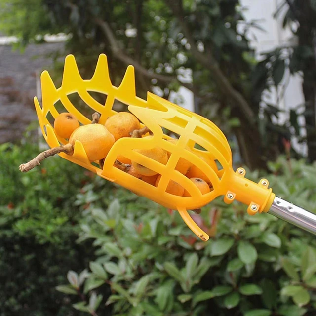 Műanyag Gyümölcsválasztó Szerszám Head Hear Teljesítmények Loquat Bayberry Friftikai Szórak Kerti Kosár Szedőkészletek - Image 2