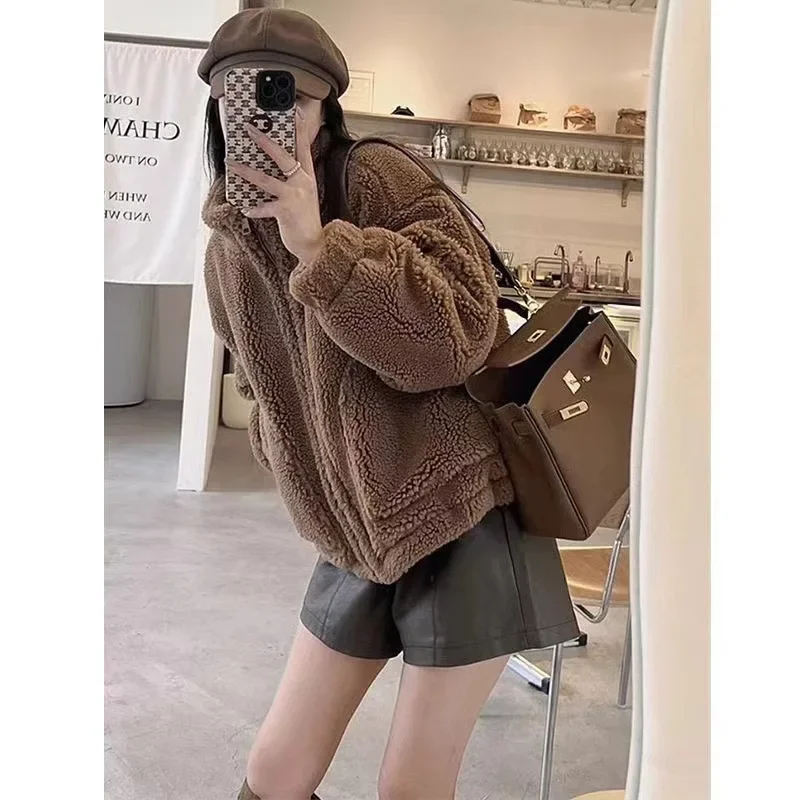 Lamb Fur Jacket Women Short Sleeveless Stand Collar Korean Style Autumn Winter Coat Small Size Fake Lamb Velvet Outerwear - Image 3
