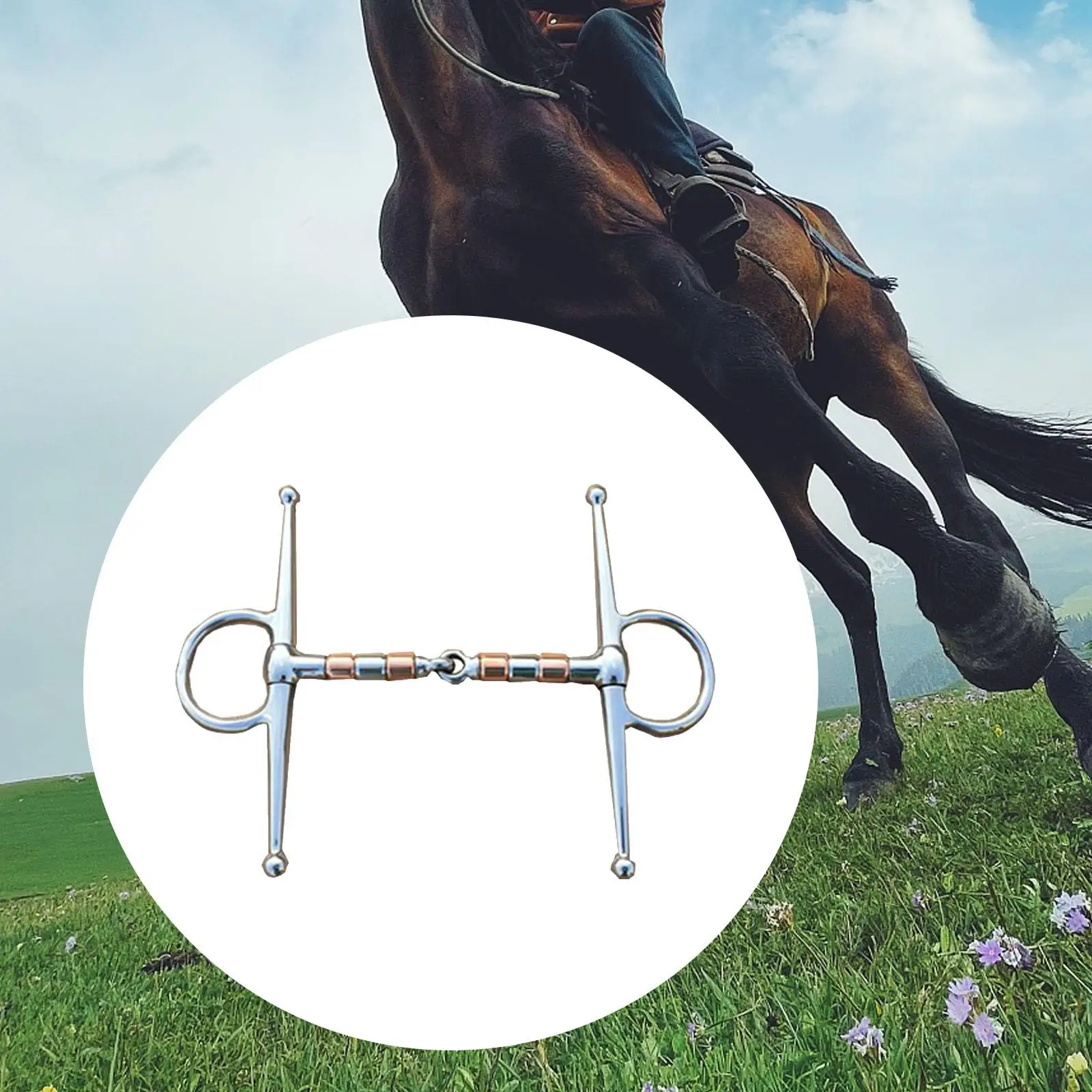 Horse Bit Horse Mouth Piece Equestrian Supplies Larger Rings 
