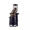 110/240V    соковыжималка шнековая Household slag juice separation small fruit and vegetable portable fresh pure fried juicer 6