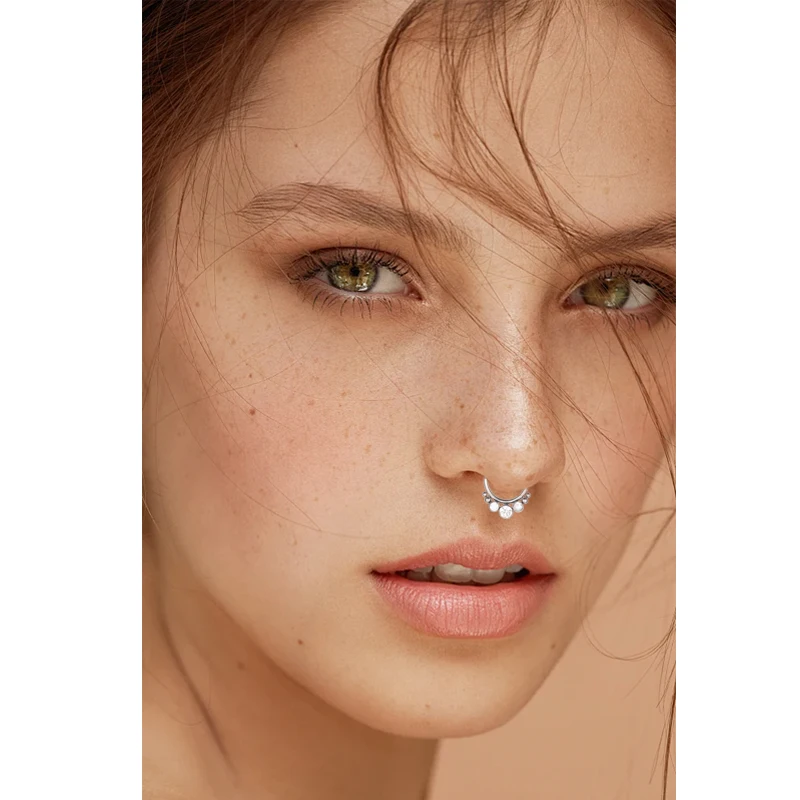 F136 Piercing en titane Cartilage Zircon Boucle d'oreille Anneau de nez Créoles Clips Tragus Diaphragme Charnière Segment Clicker Bijoux de corps En gros_voghion.com