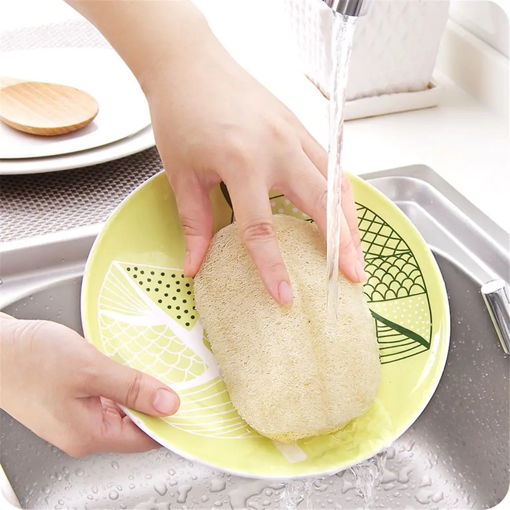 Natural Sponge Washing Dishes Natural Loofah Sponge Dishes Loofah Cleaning Sponge Cleaning