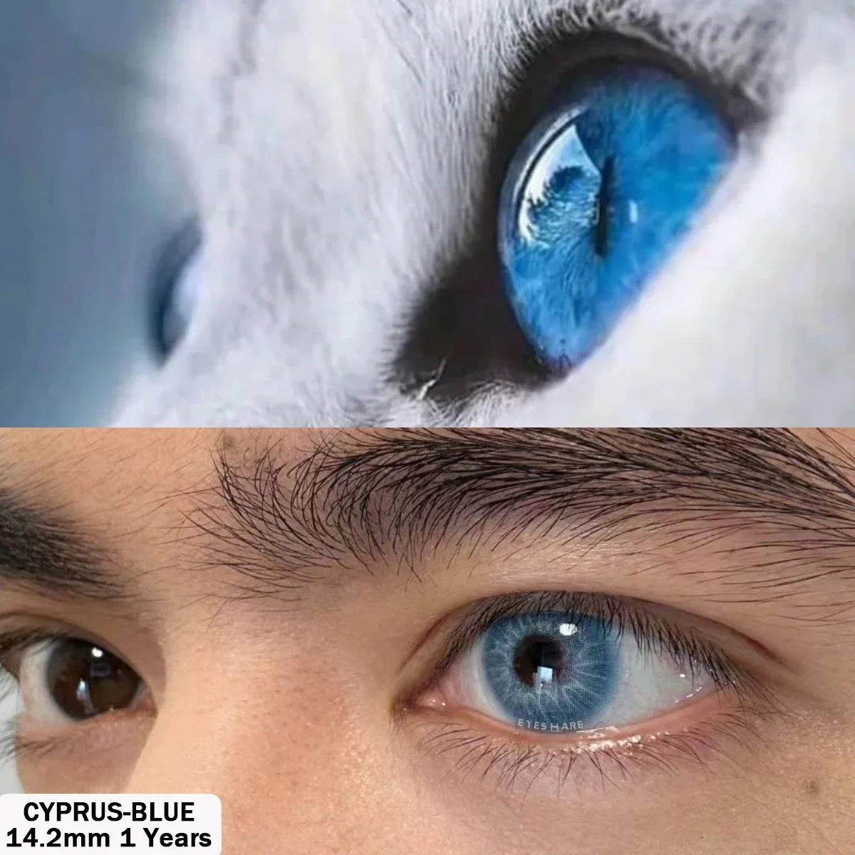 Vibrant Colored Contact Lenses - Cyprus Blue & Natural Gray 1 Pair