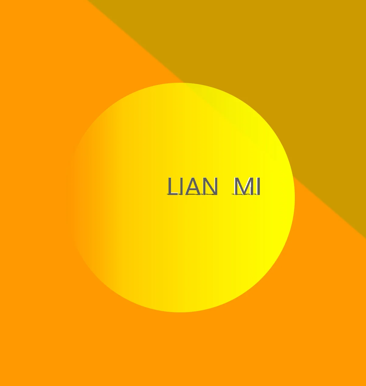 Lianmi clothing firm Store