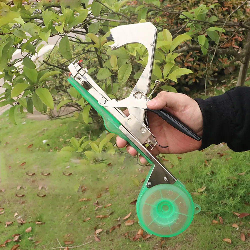 ���� ��� �Ĺ� ���� �Ĺ� ������ ���� ������ �� ������ ��Ʈ ��ä ���� �丶�� ���� ���� ��