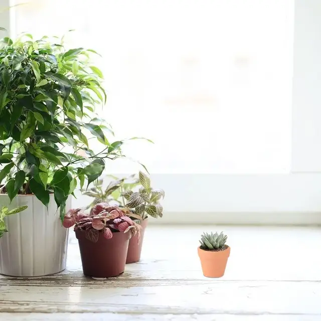 Lot De 10 Pots De Fleurs En Terre Cuite/argile, ø Intérieur