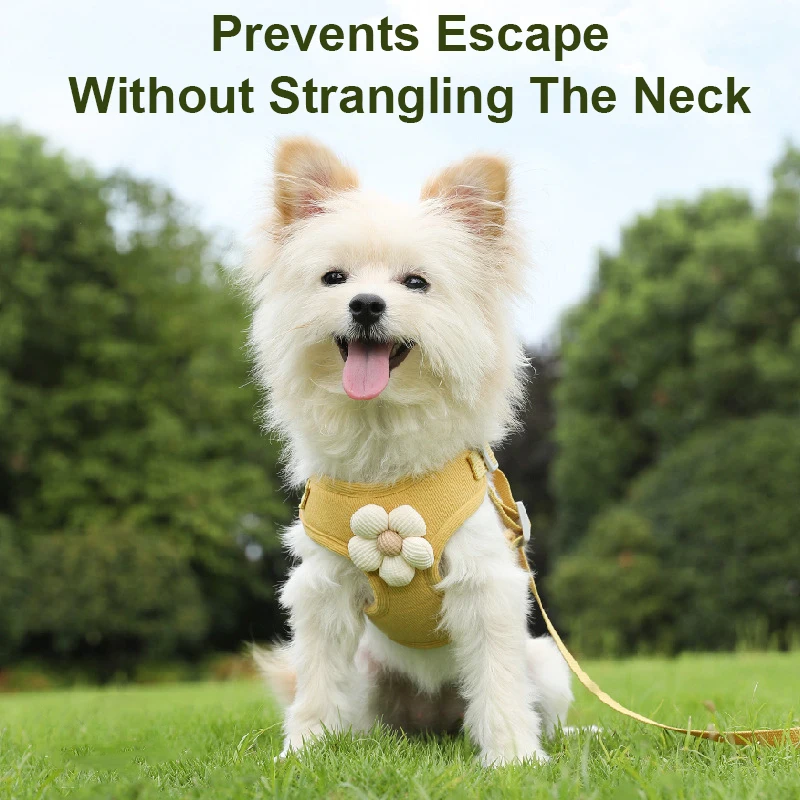 Adjustable Pet Harness Set 2