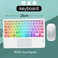 White and mouse