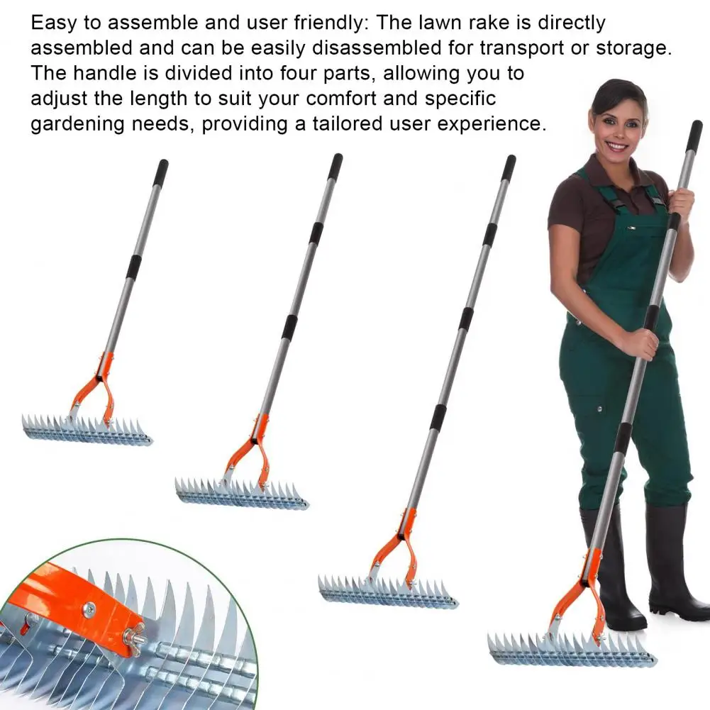 Weeding Steel Thatch Rake with Adjustable Double-Sided Rake Tine Detachable Long Handle Garden Grass Grooming Rake for Lawn 3