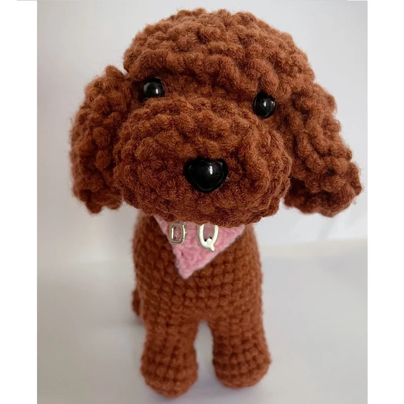 

Hand Knitted Dog Poodle Customized Color Name Gift Teddy Permanent Companion