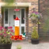 Hummingbird Water Feeder Hanging Honey Water Bird Feeder Anti-ants Leakproof Easy To Clean Outdoor Garden Decoration 3