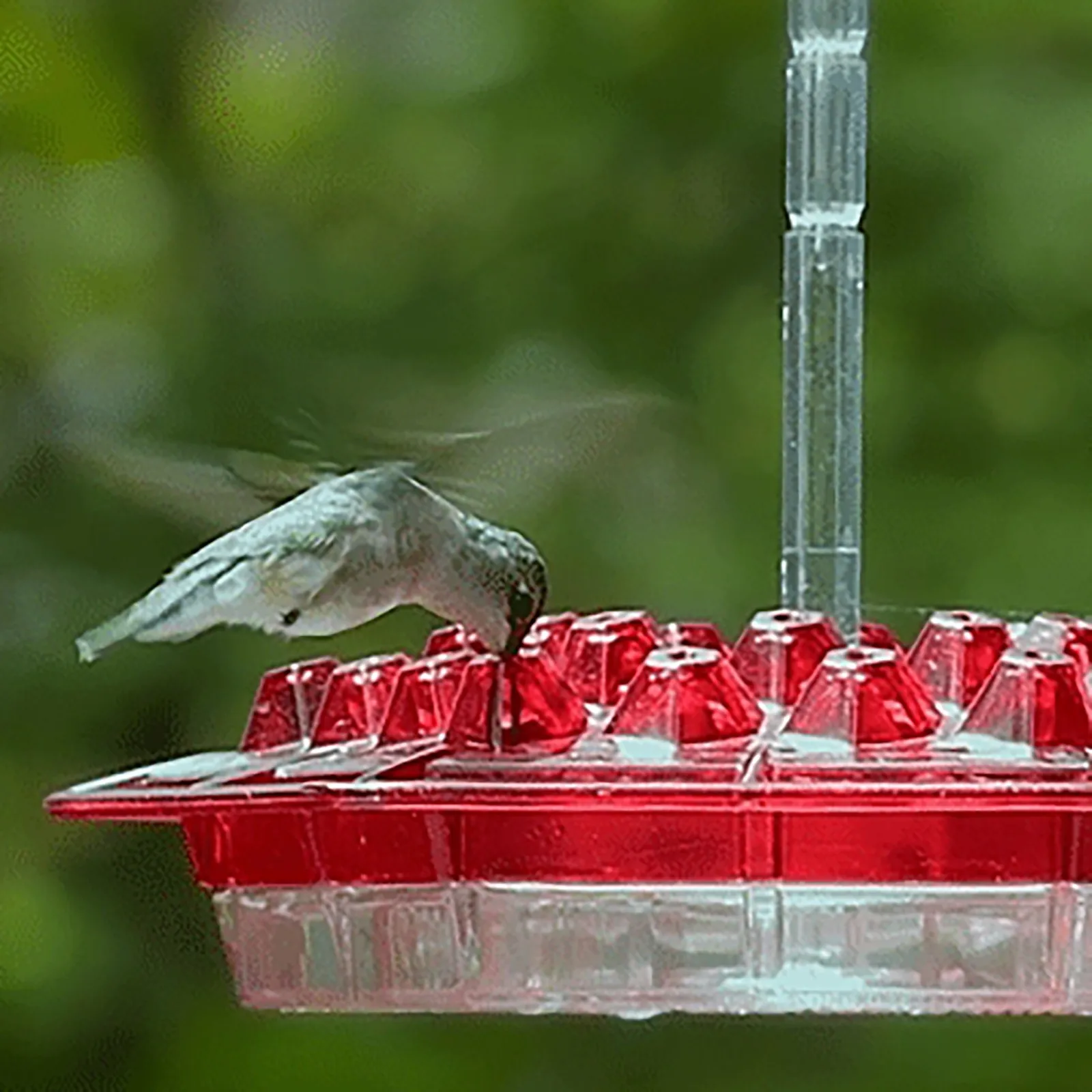Summer Promotion 45% Off-hummingbird Feeders For Outdoors Hanging