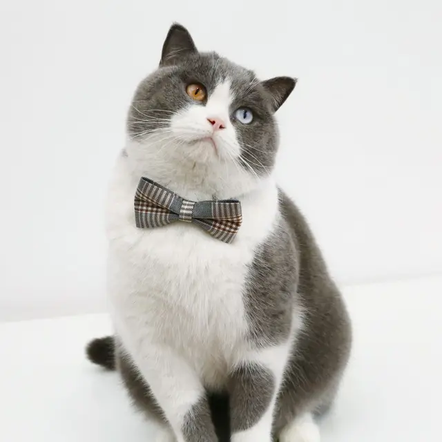 1pc Adjustable Plaid Cat Collar with Bow Tie - Adjustable Comfortable Collar, Perfect for Holiday Dress Up and Everyday Wear 3