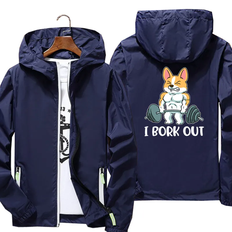 Corgi  帮Ʈ ƮϽ ü  ,   ٶ,  ĵ Ŷ,  Ϸ Ų Ʈ, 