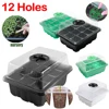 12 Grids Seed Starter Kit Plant Seeds Grow Box Seedling Trays Germination Box with Dome and Base For Seedlings Gardening 1