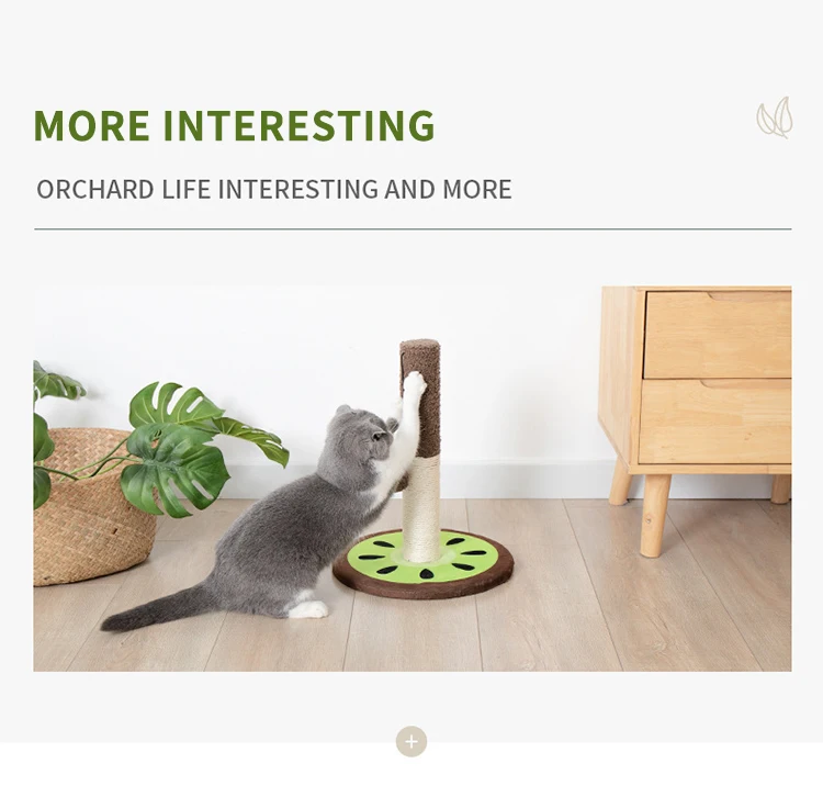 S916e49cfad4d436aa39284f1dc1b4b34E