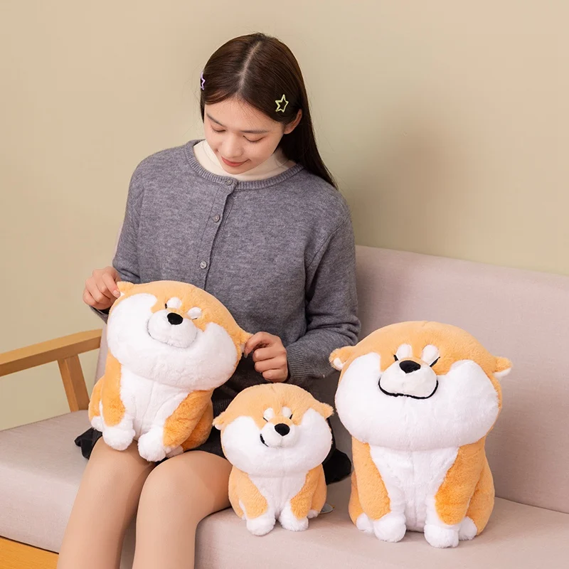 S916e515e152a41b79d779c311530dfa2R - Corgi Gifts