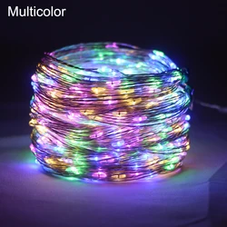 Twinkling Silver Wire LED Fairy Lights - 10M 100LEDs (Multicolor)