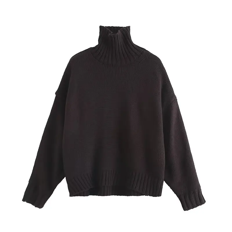 

CO Women's 2023 New Fashion Casual Thick Warm Casual Knitted Sweater Retro High-necked Long-sleeved Pullover Chic Top.