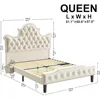 Queen Size LED Bed Frame, Queen with 58" Tall Tufted Headboard, Sturdy and Noiseless, Cream Bed Frame, Queen Bed Frame 2