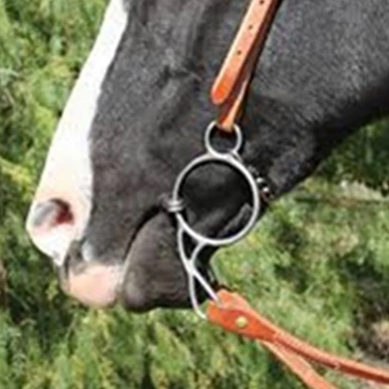 Horse Bit Ring Snaffle Bit Horse Mouth For Equestrian Training Equipment