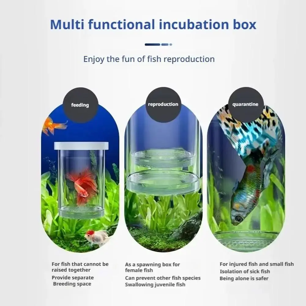 2Pcs Suction Cup Fish Breeding Isolation Box Transparent Plastic Mesh Aquarium Hatchery Accessories Multi-functional