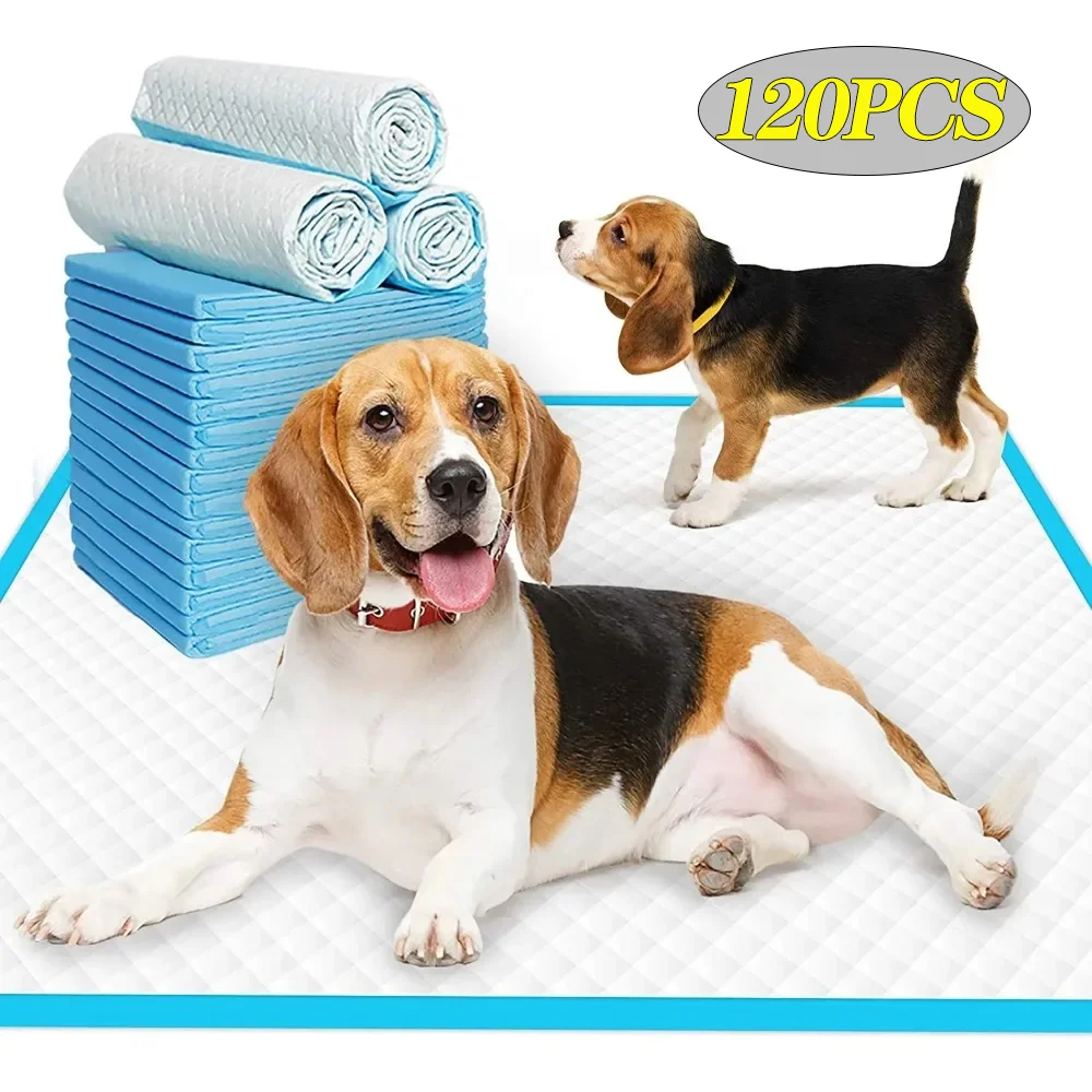 Toalla MABEL Personalizada Para Perros: Ultra Absorbente Y Rápida De Secar (Gris, Microfibra)