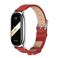 Plus Red silver