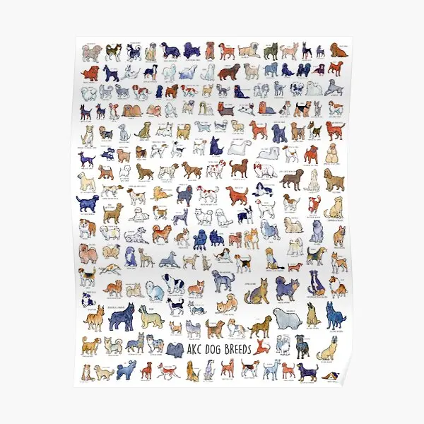 

Every Akc Dog Breed Poster Funny Decor Room Picture Home Wall Modern Art Painting Decoration Vintage Print Mural No Frame