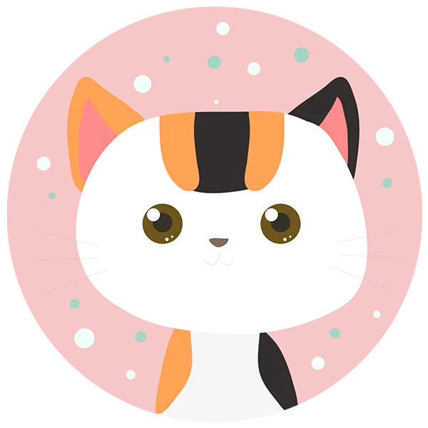 Perfect Your Phone Store