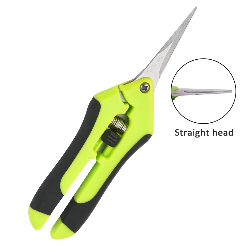 green straight