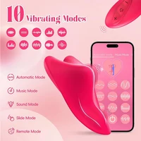 App-Handy-Fernbedienung, Vibrator, tragbares Höschen, 9, Vibration, Vagina, Klitoris, Massagegerät, Mini-Kugel, Sexspielzeug für Frauen 2