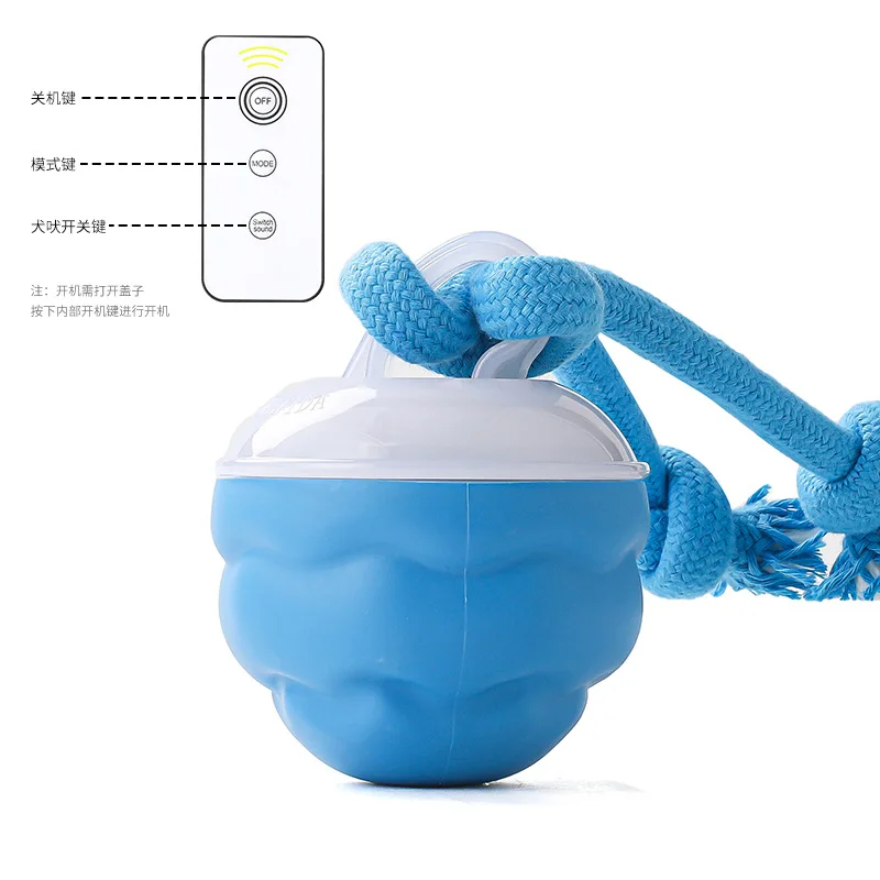 Remote control blue