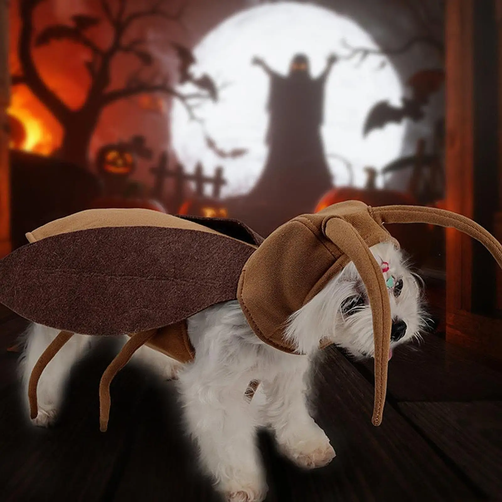 Creepy Cute Pet Costume 5