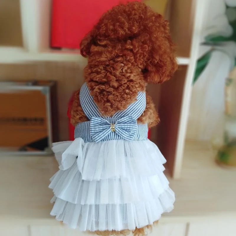 Dog Summer Dress Lace Stripe Skirt - image 5