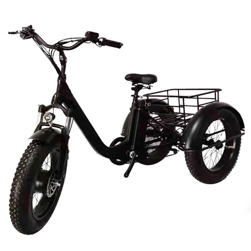 20Inch*4.0 Power Assisted Electric 