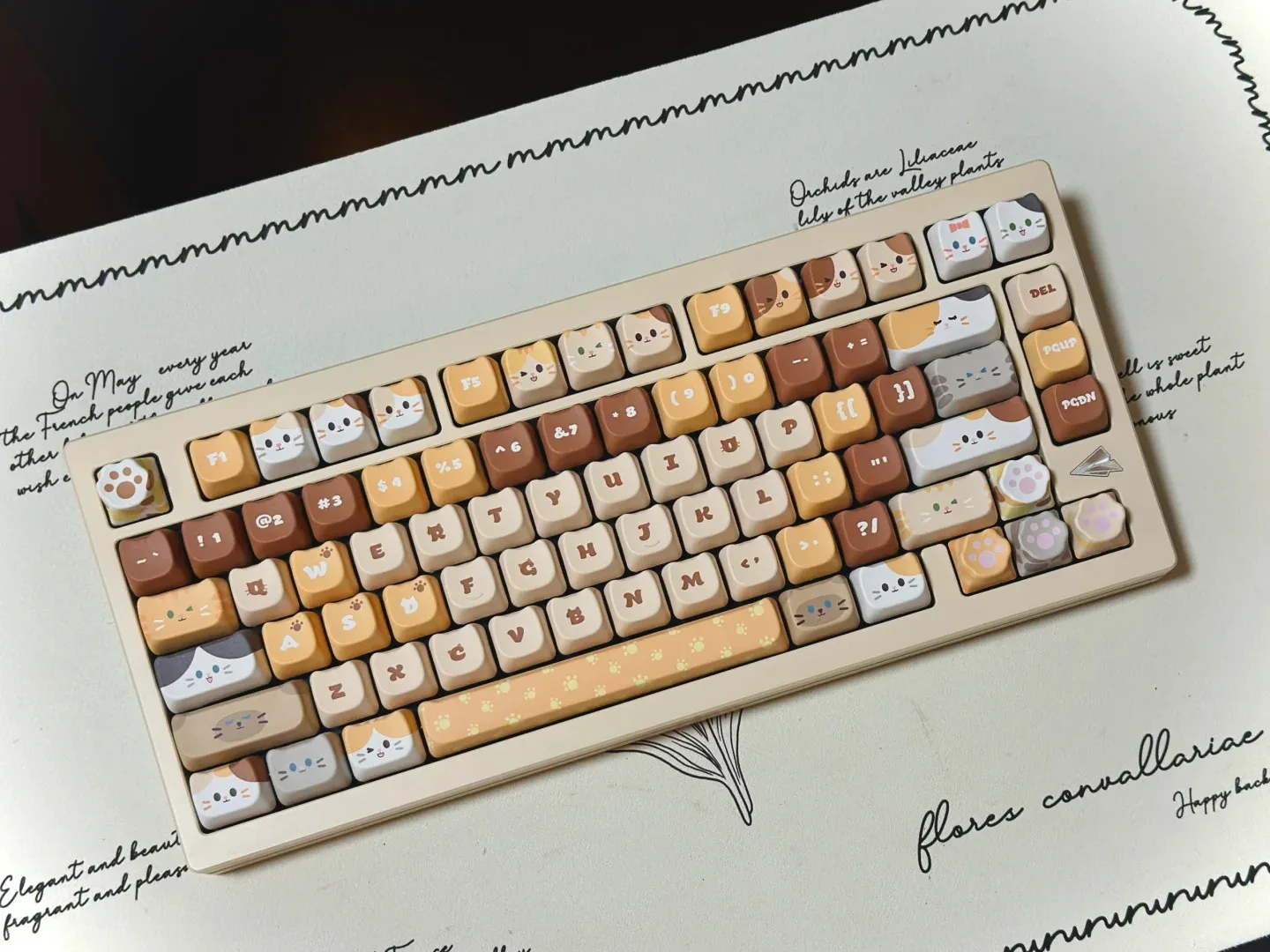 Cute Meow Perfil, PBT Praça Key Cap,