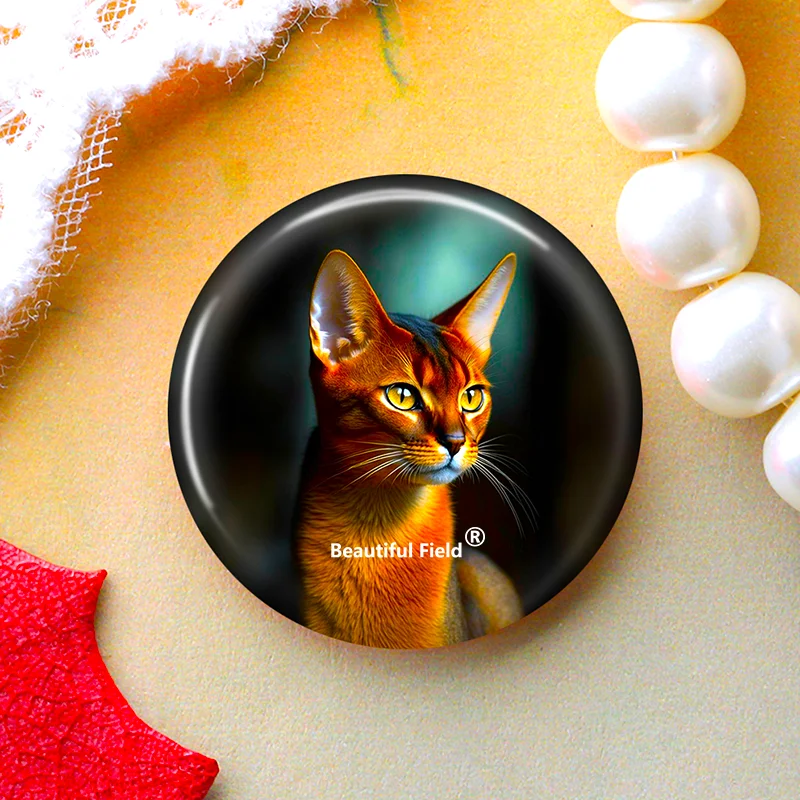 DIY Round Glass Cabochon Set for Handmade Photo Crafts - Assorted Sizes