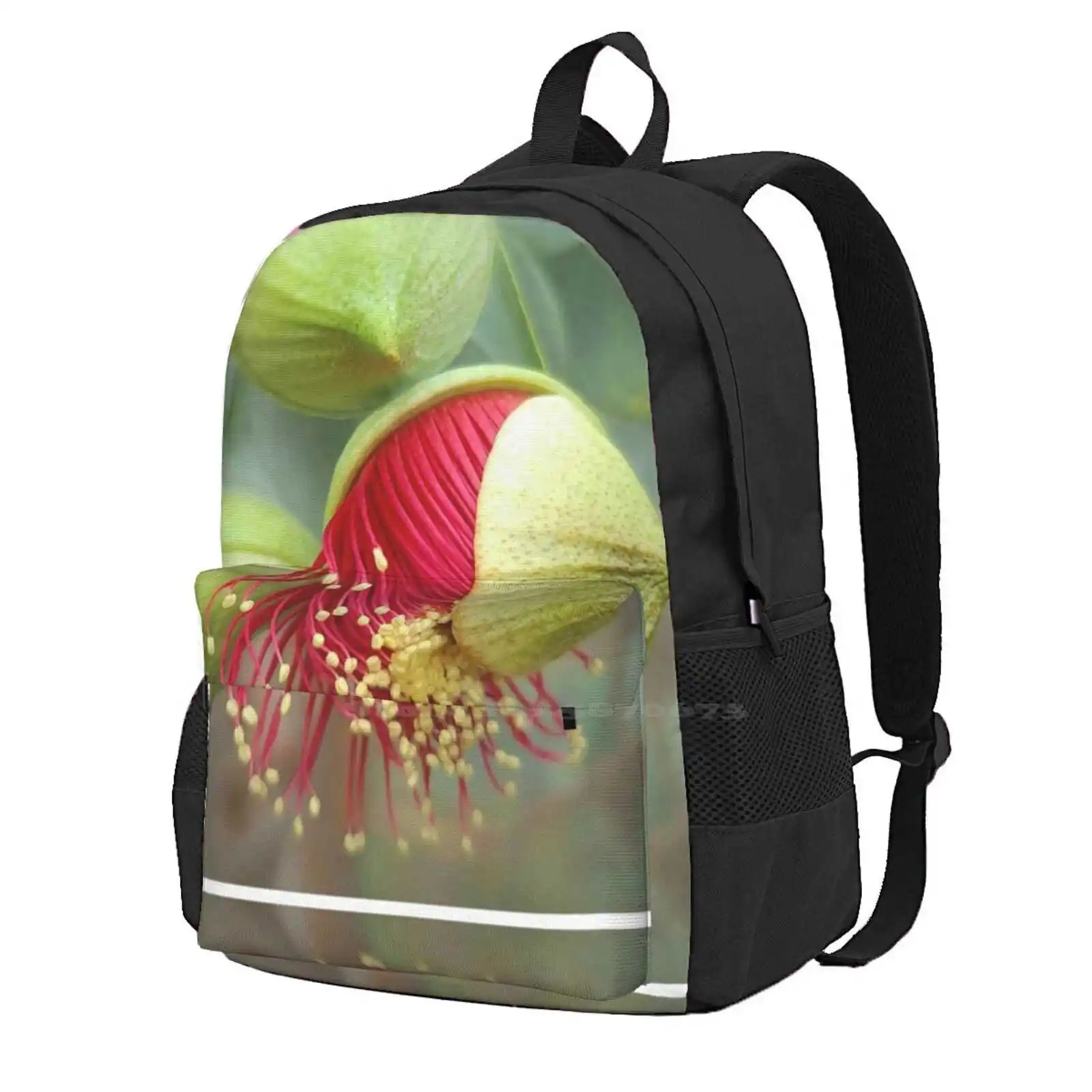 

Eucalyptus Rhodantha .Native To Western Australia Teen College Student Backpack Laptop Travel Bags Sophie Australia Wildflowers