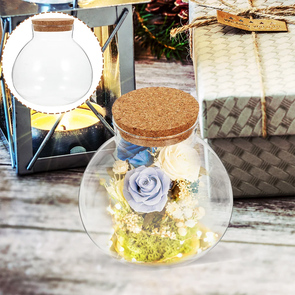 2Pcs Glass Terrarium Ecological Bottle Plant Vase Desktop MicroLandscape Bottle Transparent Glass Moss Crafts Mini Landscape 6
