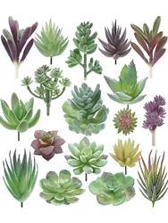 Artificial Succulent Plants - Double Flocked Realistic Faux Cactus Decor Set - 10pcs (Green)
