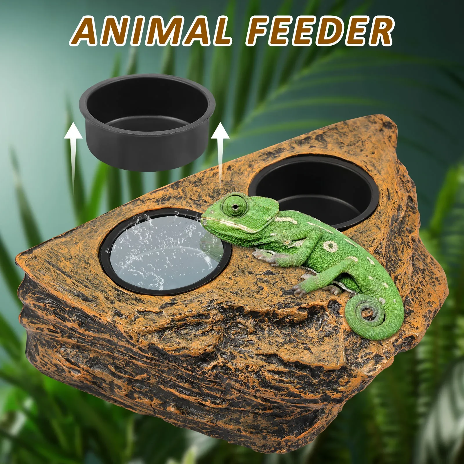 Magnetic Reptile Feeder Ledge 3
