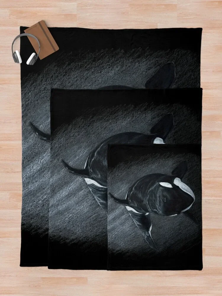 �� ����-����ī ������ ���, ������ ��, �ܿ� ���� ���