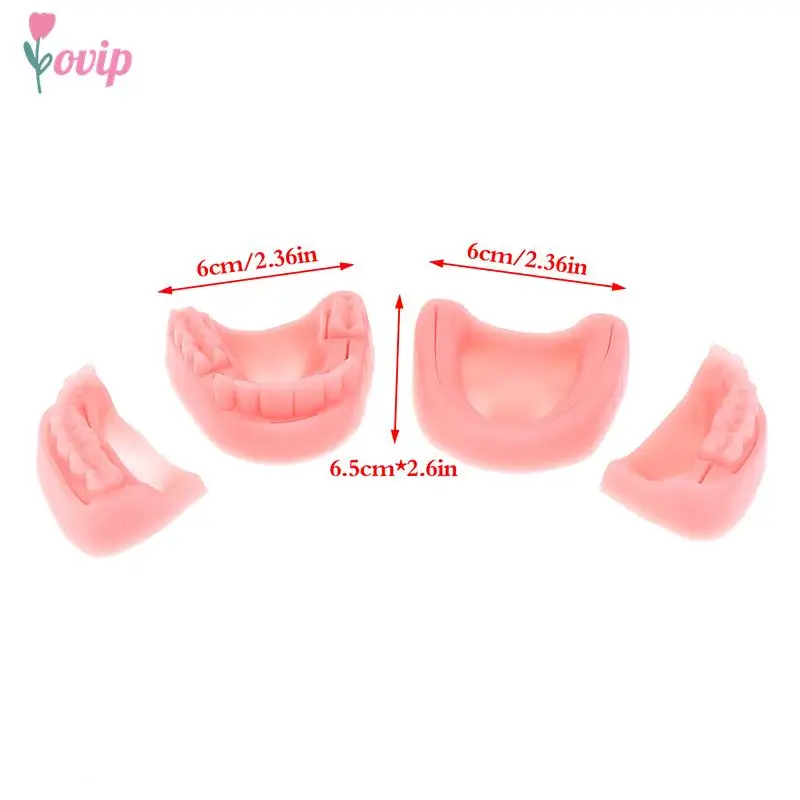 치과 시뮬레이션 구강 봉합 모델, 잇몸 봉합 교육 장비, 4 개