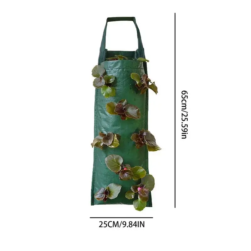 Wall-Hanging-Plant-Bags-Strawberry-Grow-Bag-Aeration-Fabric-Pots-With-Handles-Grow-Bags-Potato-Grow.jpg Fali Függő Növény Táskák Eper Termesztés Táska Levegőztető Anyag Fogakkal Termesztett Burgonya Nő - Image 6