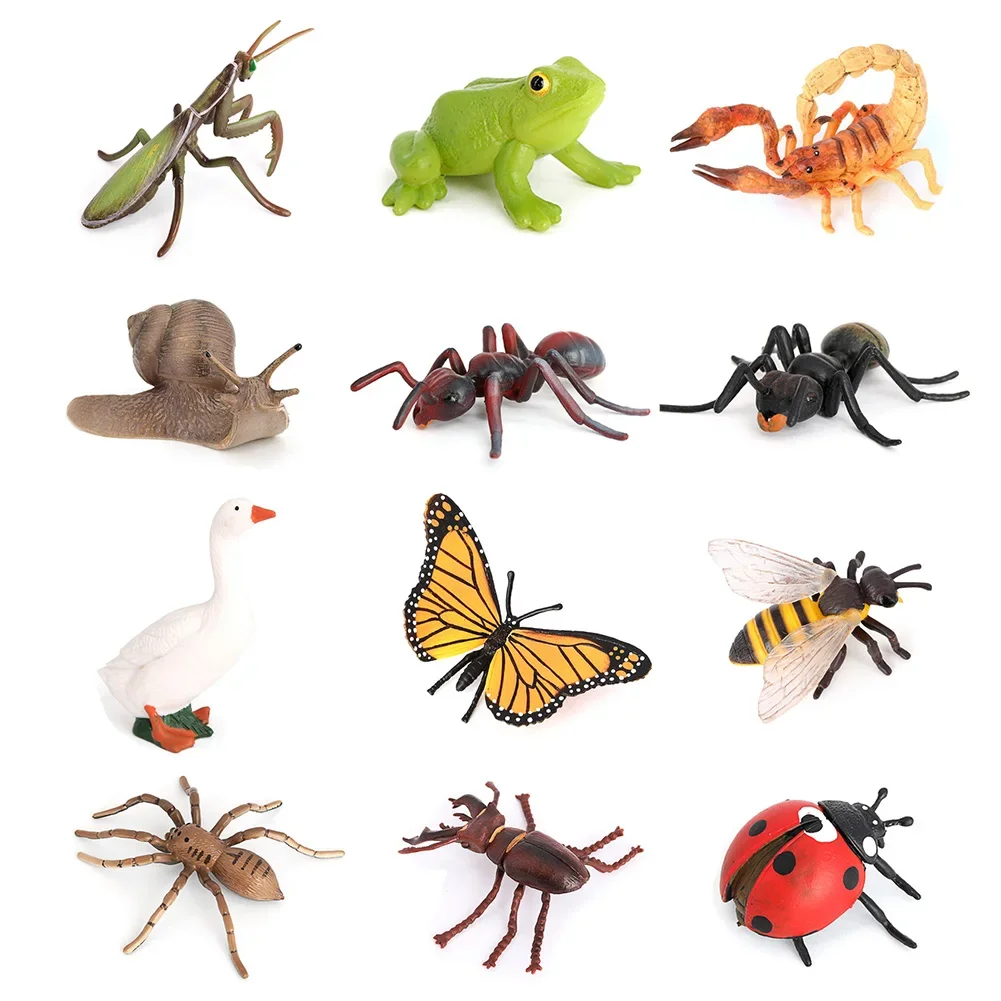 Realistic Animal Models Home Collectible Ornament Educational Insect Frog Crocodile Octopuses Animal Life Cycles Children's Gift