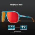 Polarized- 11