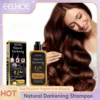 Hair Dye Shampoo Darken White Reduce Gray Anti Dandruff Itching Repair Damaged Smoothing Improve Scalp Environment Cleanse Roots 1