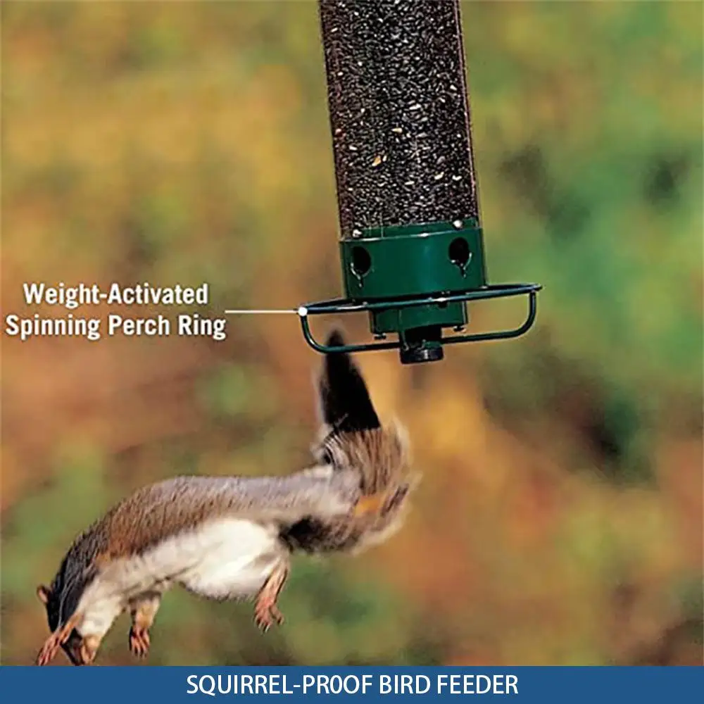 

Non Electric Bird Feeders Integrated Solid Base Geometry Swivel Anti Squirrel Metal Iron Art Self Water Feeder Pet Products