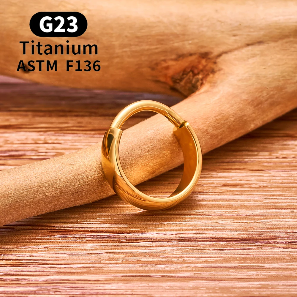ASTM F136 G23 티타늄 피어싱 라운드 이어링 후프 16G 힌지드 세그먼트 셉텀 노즈 링 트라거스 연골 헬릭스 바디 주얼리